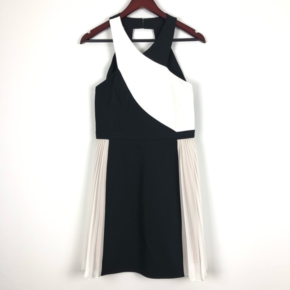 BCBGMaxAzria Delilah Color-Blocked Dress - Picture 3 of 7